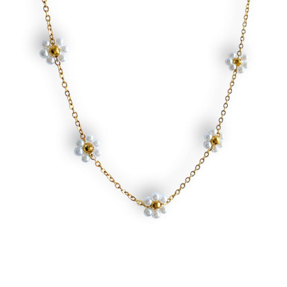 Bellis Choker