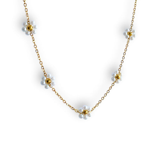 Bellis Choker